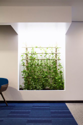 Estúdio AMATAM, TONIK Health Club Social Areas Refurbishment - foto