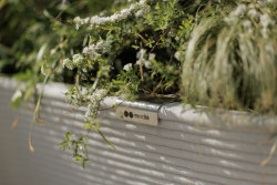 Minimalistické květináče TYPO vyrábí mmcité pomocí 3D tisku jako jedna z prvních firem v České republice