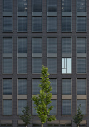 Rustonka, CMC architects / Vít Máslo, David Richard Chisholm, Evžen Dub