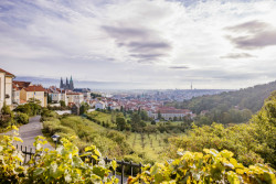 Nová koncepce vrchu Petřína.