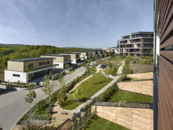 Rezidenční soubor Císařská vinice se skládá z pěti bytových domů, čtveřice vil a tří řadových domů.