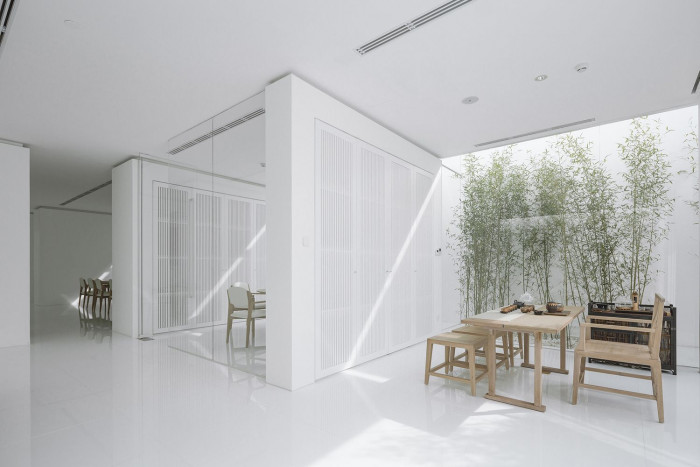 Bamboo Forest, V Studio