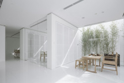 Bamboo Forest, V Studio