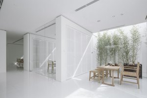 Bamboo Forest, V Studio