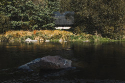 V těsné blízkosti řeky Sázavy (Chata u Sázavy mezi skálou a řekou; Mimosa Architekti)