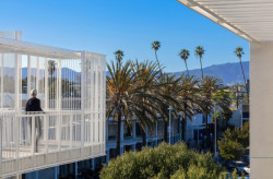 Komplex je obklopen zelení a palmami s výhledem na horské hřebeny. (Rose Apartments v Los Angeles, Brooks & Scarpa)