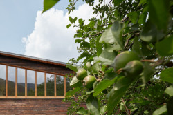 Dům Kaštan, Valarch