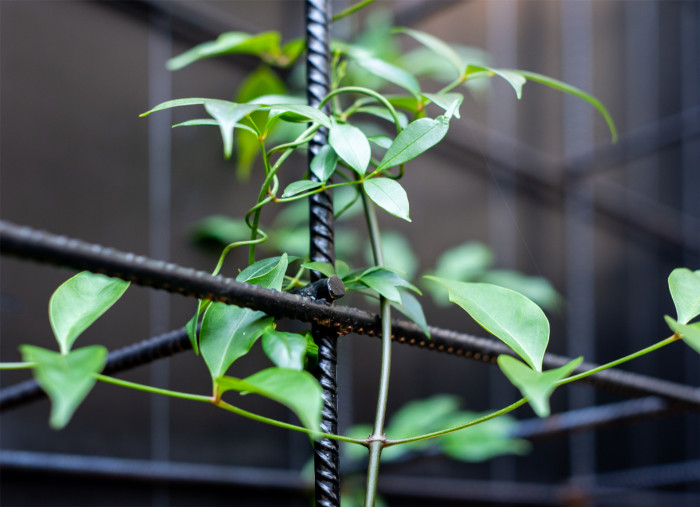 Rekonstrukce restaurační zahrady Hoja, Petr Danda