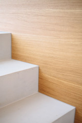 Rekonstrukce bytu – Lipová, studio AEIOU, Foto