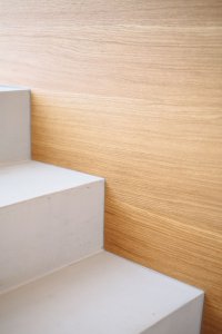 Rekonstrukce bytu – Lipová, studio AEIOU, Foto