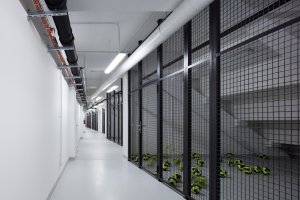 Sportovní hala Kuřim, CUBOID architekti