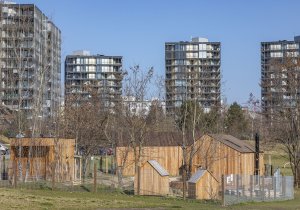 V dohlednu je také soubor bytových domů Central Park. (Lesní třída Větvíci na Žižkově od ateliérů Terra Florida a Jasné)