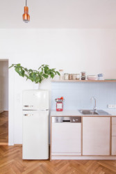 Byt na Žižkově, DDAANN