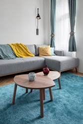 Byt Sekaninova, DESIGNIST – Ivana Šustrová