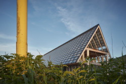 Kloboucká Lesní od Mjolk architekti