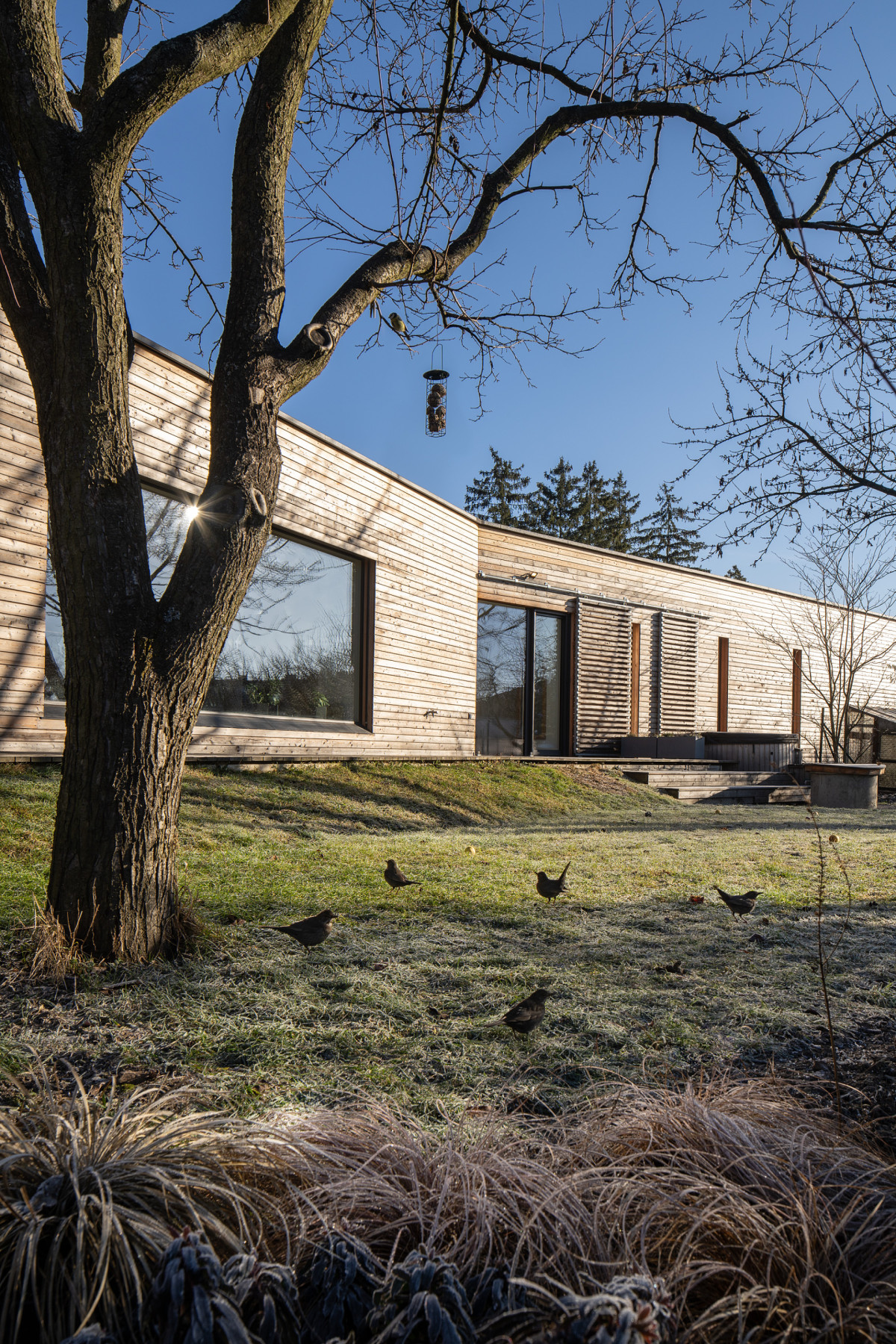 Fasáda z hoblovaných modřínových prken přirozeně propojuje dům s okolní přírodou. (Dům na Hané; MOLO Architekti)