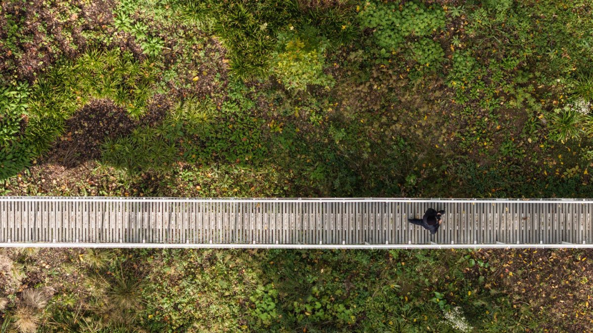 Nad hřbitovem je zbudovaná také visutá lávka. (SOA architekti, ateliér KONCEPT, Park historie v Aši)