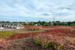 ARCHCON atelier realizoval dřevem opláštěný rodinný dům navržený podle principů feng-šuej