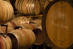 Weninger Pincészet, Maďarsko – foto