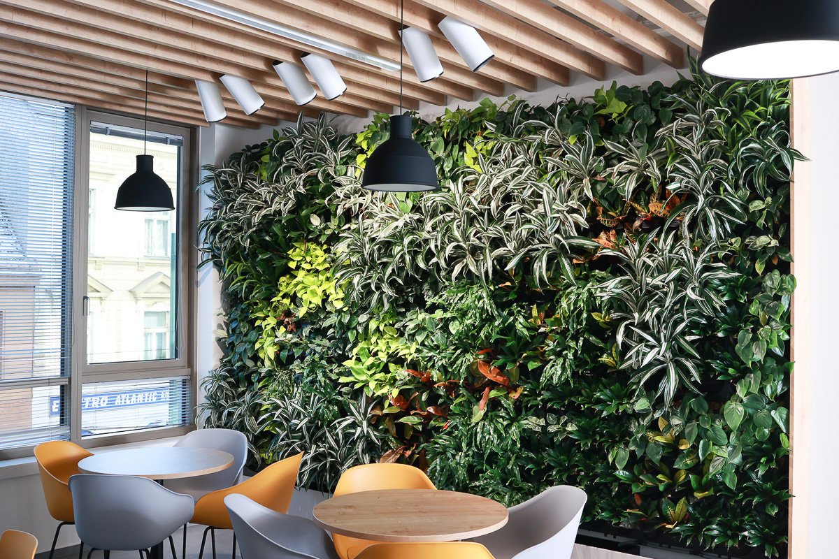 Zelené stěny od Jungle Interiors
