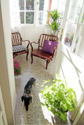 studio29, Barevný byt na Žižkově – foto