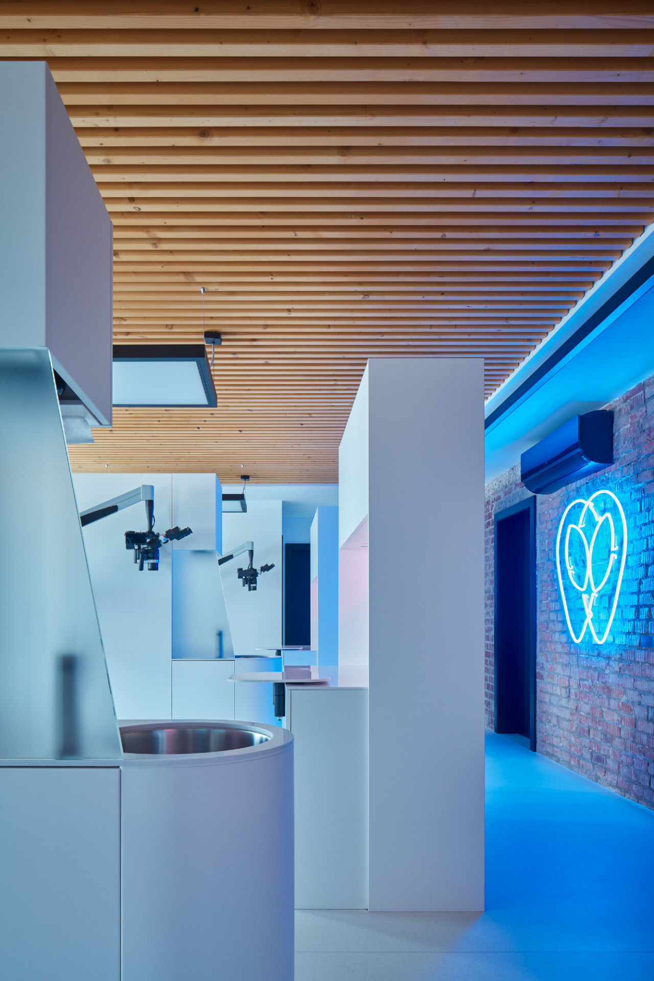 Dentální klinika myTREEDK v Opavě, QARTA Architektura / David Wittassek © BoysPlayNice