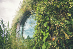 Zelená fasáda od LIKO-S