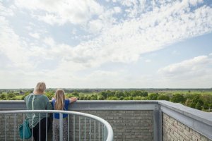 Monadnock, dominanta obce Nieuw-Bergen, výhled z rozhledny, foto