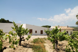 Rozšíření rodinného domu ve Španělsku, Vidal i Solanes arquitectes