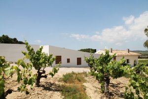 Rozšíření rodinného domu ve Španělsku, Vidal i Solanes arquitectes