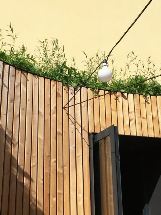 Zahrádka restaurace Peppino,