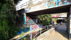 Podchod pod Barrandovským mostem, kde se potkává divoká příroda, Dalejský potok a dopravní infrastruktura, je jednou z nejlepších graffiti galerií v Praze.