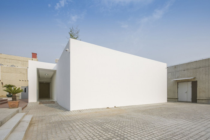 Bamboo Forest, V Studio