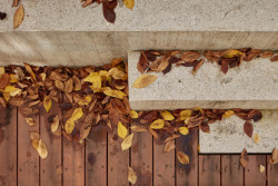 Nová terasa suterénního bytu v Praze od Matěje Šebka