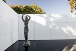 Mies Missing Materiality