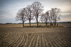 Pietní místo Kunčí, Med Pavlík architekti/ Lukáš Pavlík, Tomáš Med, Josef Odvárka