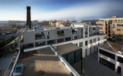 M Factory, Olgoj Chorchoj