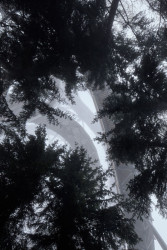 Fránek Architects, Stezka v oblacích - foto