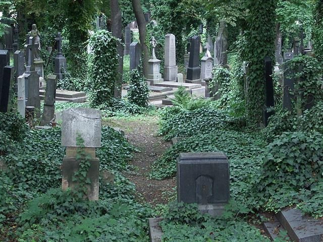 Do 15. 2. 2024 je možné posílat návrhy do soutěže o nový orientační systém a mobiliář na pražských hřbitovech.