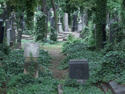 Do 15. 2. 2024 je možné posílat návrhy do soutěže o nový orientační systém a mobiliář na pražských hřbitovech.