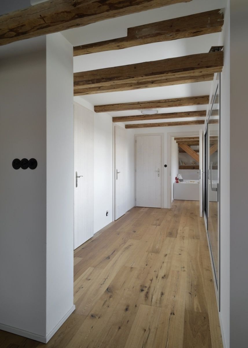 Rekonstrukce půdy, 3+1 architekti