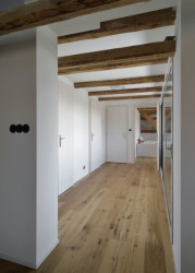 Rekonstrukce půdy, 3+1 architekti