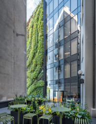 Hotel Nobu, Varšava. Medusa Group Architects - foto