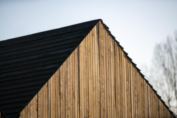 Architekta Clementine Blakemore navrhla hudební pavilon pro britskou základní školu