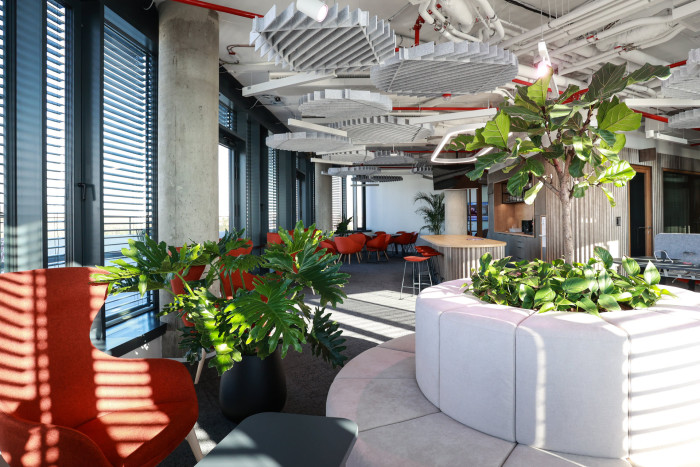 Jungle Interiors přináší zeleň na míru – od zelených stěn, atrií a fasád až po pronájem rostlin s profesionální péči.