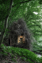 Studio Primitive ve volném čase prověřuje nejrůznější architektonické nápady a koncepty, které si žádný klient neobjedná. 