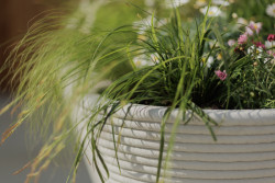 Minimalistické květináče TYPO vyrábí mmcité pomocí 3D tisku jako jedna z prvních firem v České republice