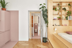 Ateliér Neuhäusl Hunal proměnili žižkovský byt na garsonku se spacím pódiem