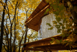 Tree House, Jan Tyrpekl