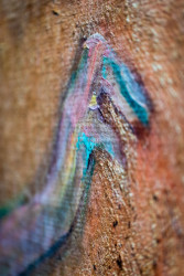 Umělecká tapeta od Canonu